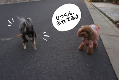 WS000059.jpg