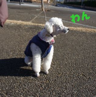 WS000071.jpg