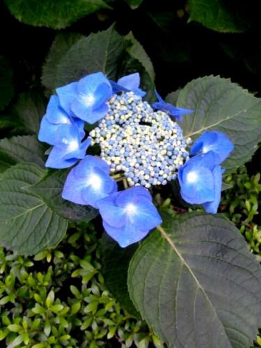 20120527_221333.jpg