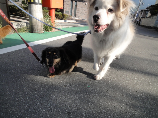 ビビ&うらら