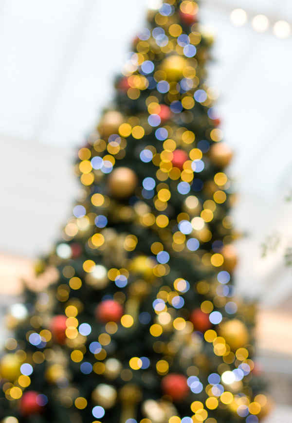 merry1.jpg