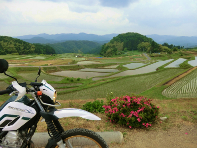 201206056.jpg