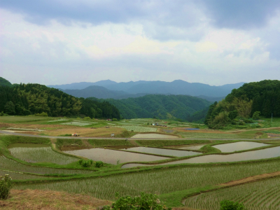 201206059.jpg