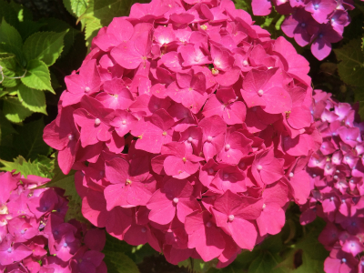 2012062210.jpg