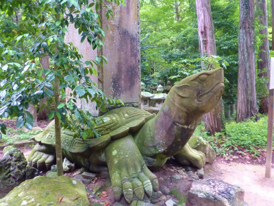 201207053.jpg