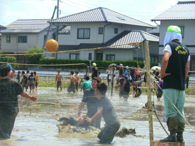 201208221.jpg