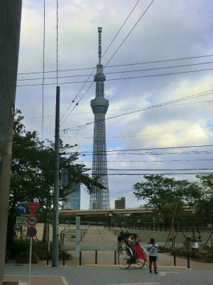 24101110.jpg