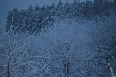 DSC_0011_convert_20140204233547.jpg