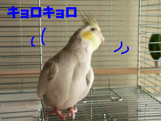 キョロキョロしてるね(笑)