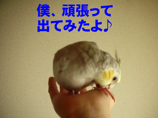 うん、頑張ったね♪