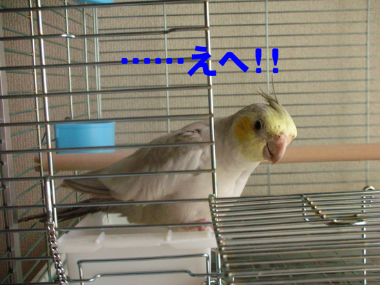 出てくれるの!?