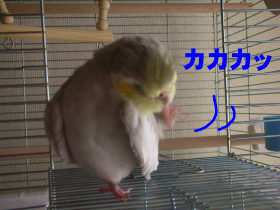 高速カキカキだね
