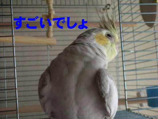 うん、すごいね