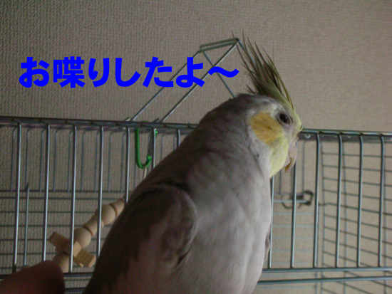いっぱい喋ってたね