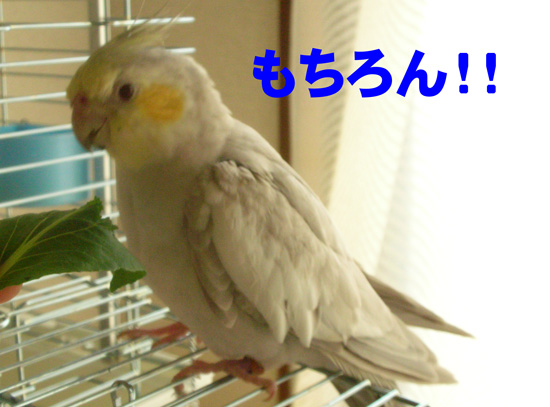 可愛い~
