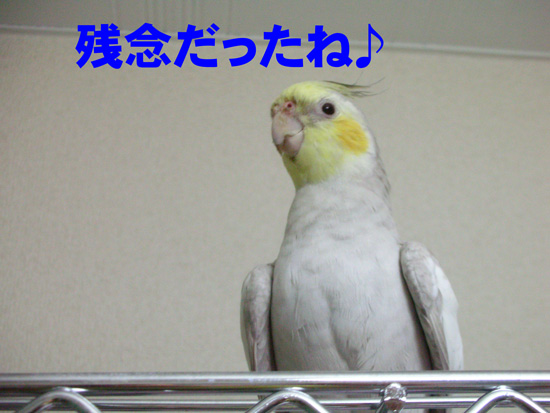 しくしく……