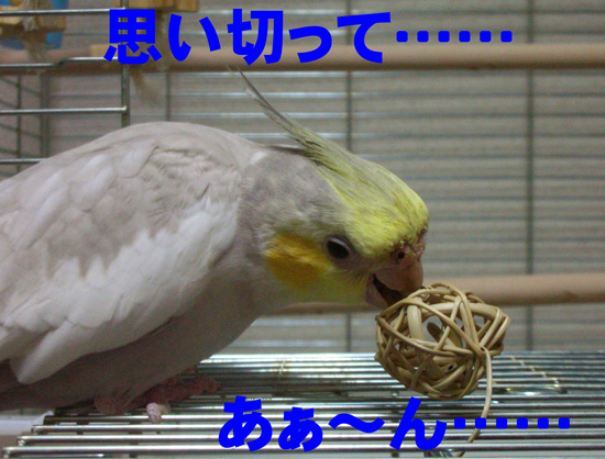 おっ