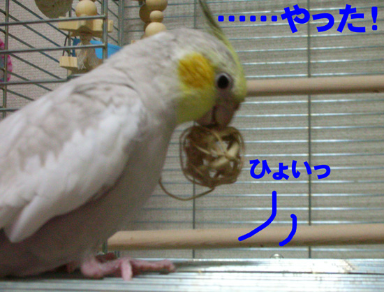 初めて持った!!