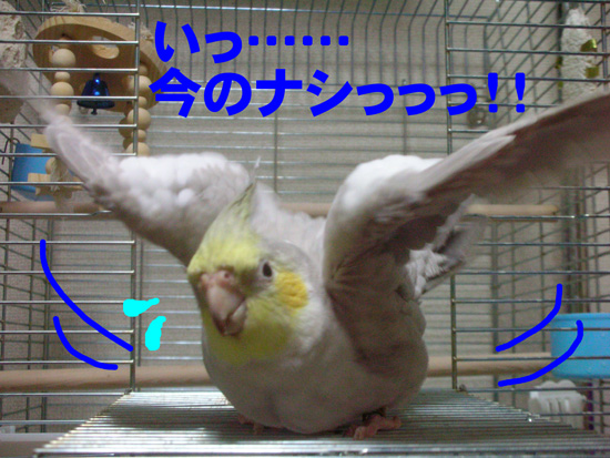 もう撮っちゃったよ