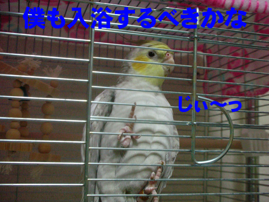 まぁ、風のペースでいいけど