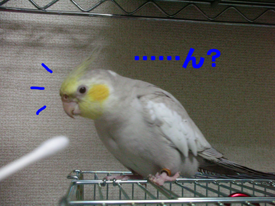 でも1本だと……