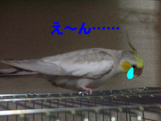 あらら^_^;