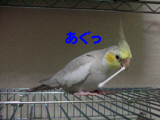 受け取った!!