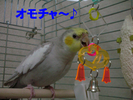 可愛いオモチャ