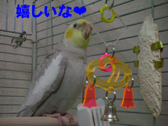 ね~っ♪