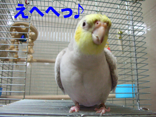 ご機嫌だね~