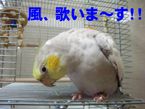 どぞ♪