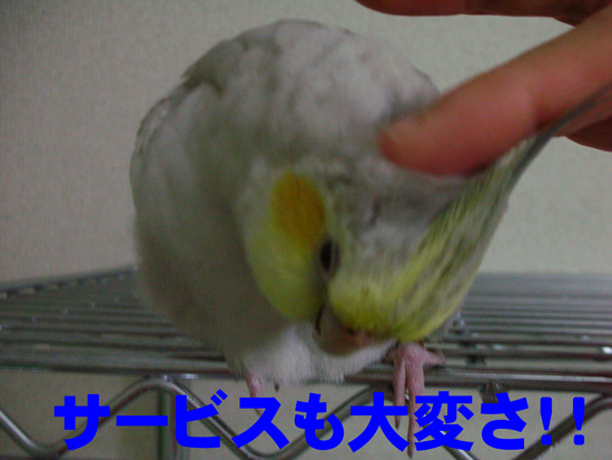ご苦労様(^_^;)