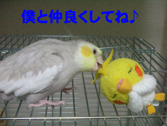 お友達が出来たね