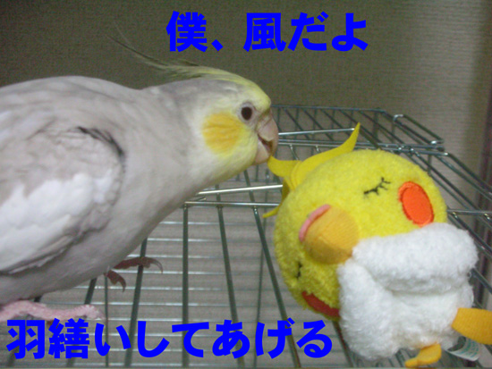 おっ、優しいじゃん