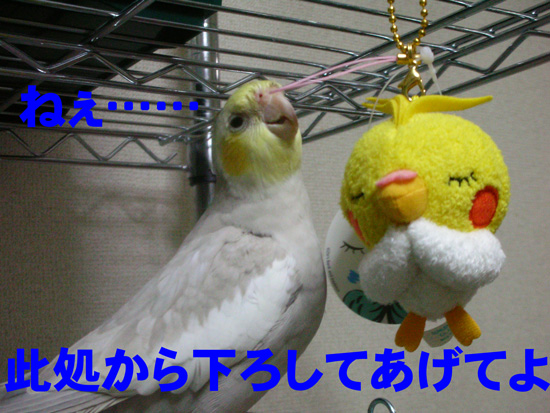そっ、そうだよね