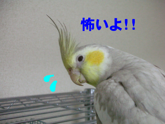 何故!?