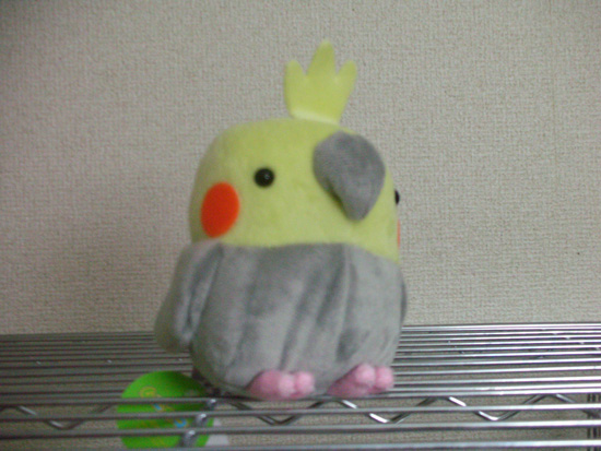 ぬいぐるみちゃん