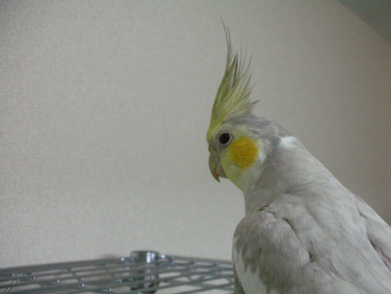 そのわけは……