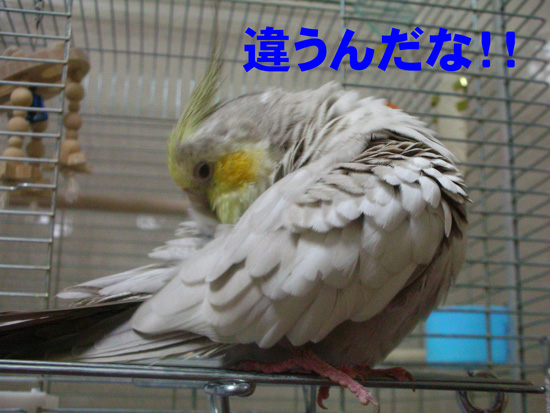 えぇっ