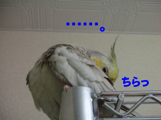 現実は見つめないと!!