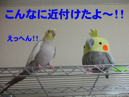 すごいじゃん!!