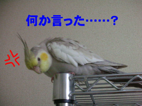 風、ご立腹!?