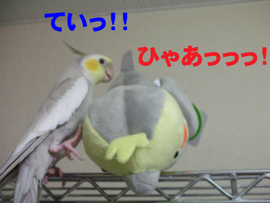 ちょっと、風!?