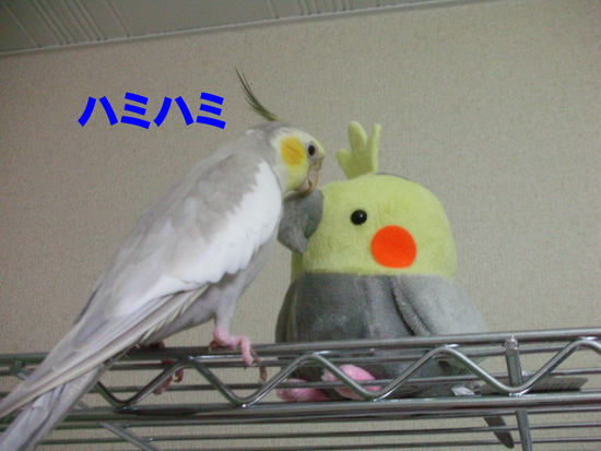 おぉ~!!