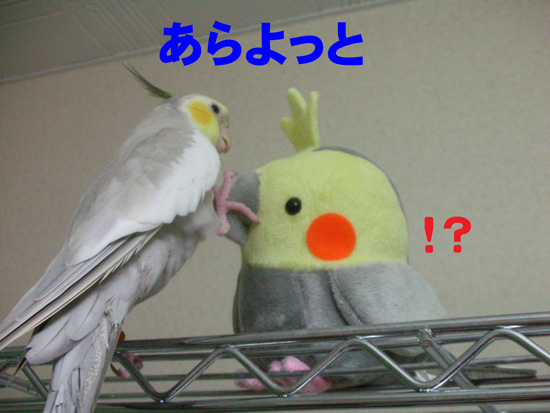あんよ???