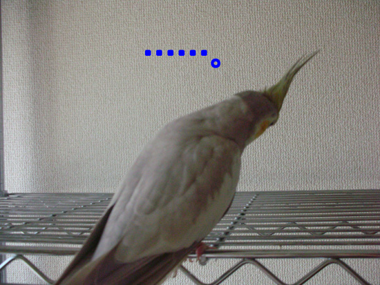 考え込んでいる風