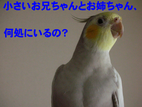 気になるの?