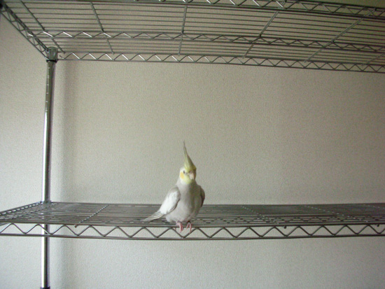 がら~んと