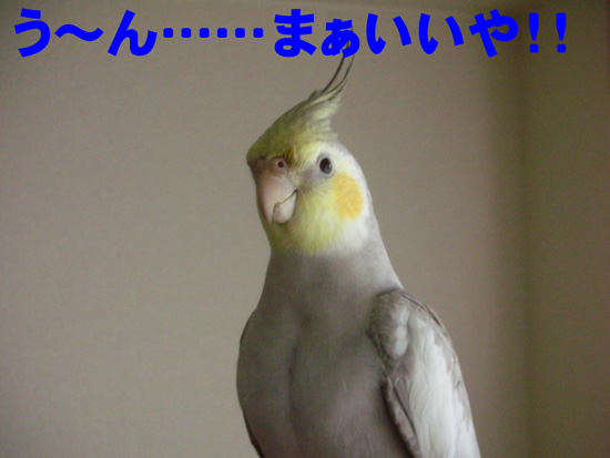 えぇっ!?