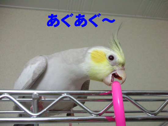 夢中だね